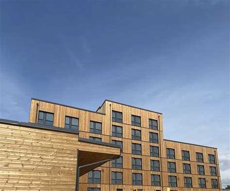 Image result for Bitus Football Manager