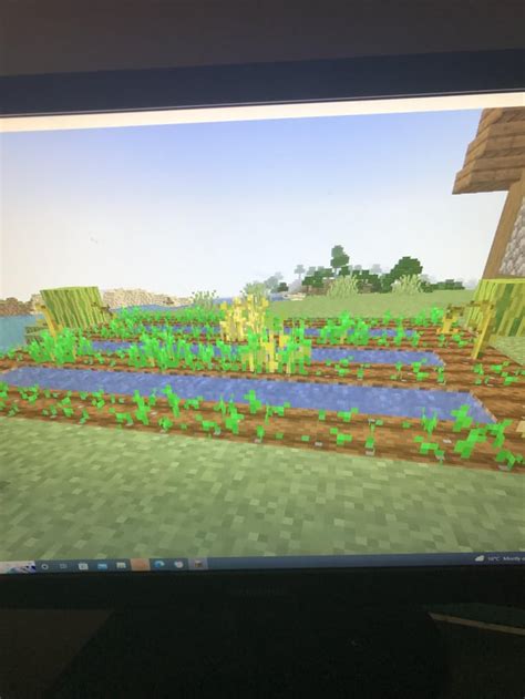 Image result for Java MC Bases