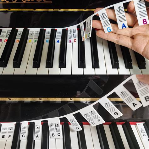 Image result for Keyboard Piano Keys Notes