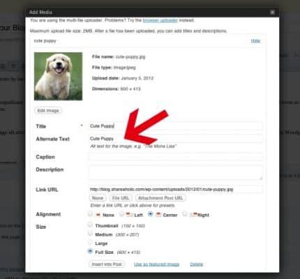 Afbeeldingsresultaten voor What Is an Alt Attribute HTML