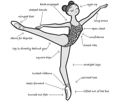 Image result for Ballet Positions Names