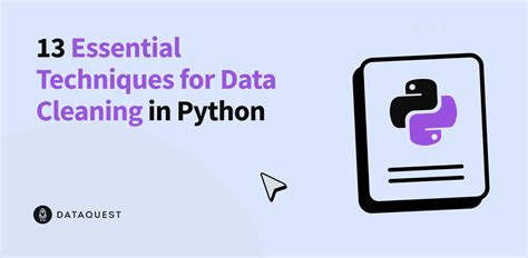 Python for Data Cleaning に対する画像結果