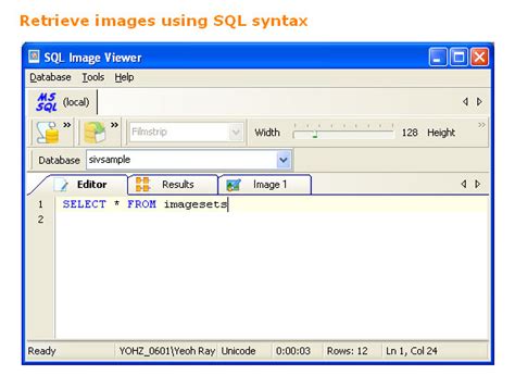 Image result for SQL Server Viewer