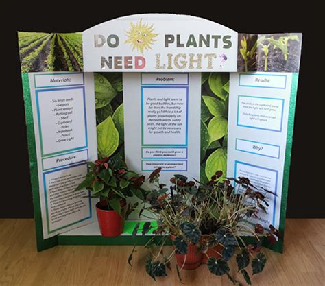 Light Science Fair Projects に対する画像結果