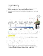 Image result for Long-Term Memory Structure