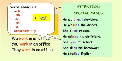 Afbeeldingsresultaten voor Present Simple Pattern