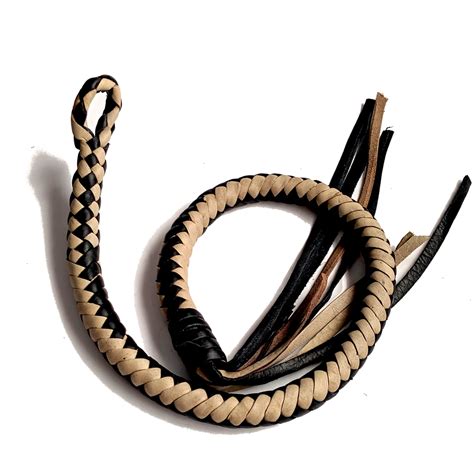 Image result for Pocket Python