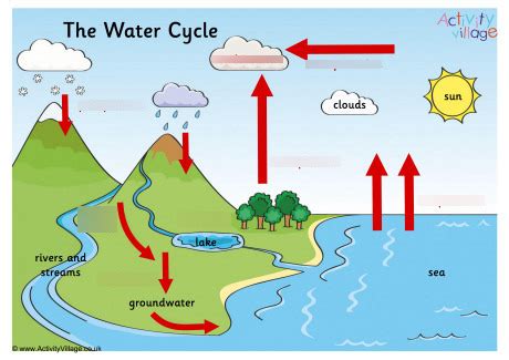 Image result for Hydrosphere Vector