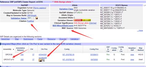 Image result for dbSNP Database PPT