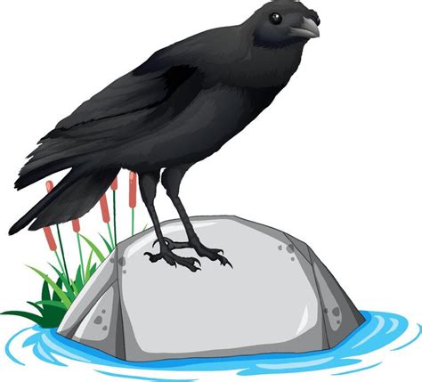 Crow with Sound Wave Vector Image に対する画像結果