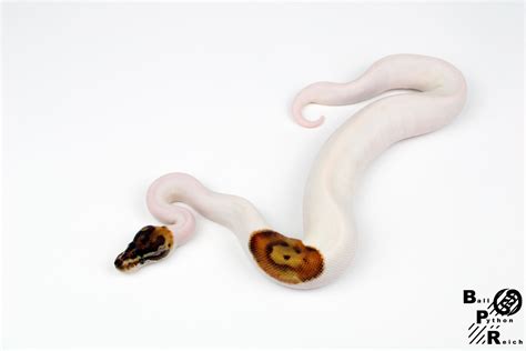 Toradh íomhá ar POS En Python