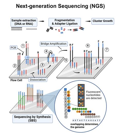 Sequencing Workflow-এর ছবি ফলাফল