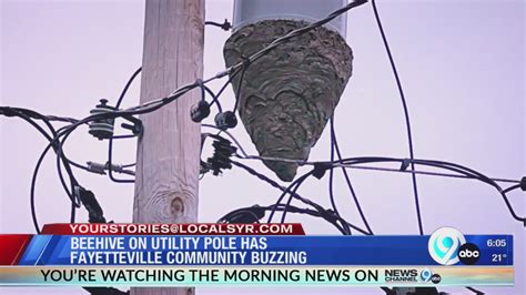 Image result for Utility Pole Sound Buzzing