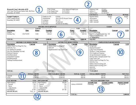 Image result for Paycheck Example for Students