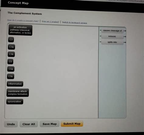 Image result for The Complement System Concept Map