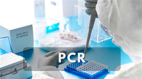 Toradh íomhá ar Python Codes to Copy and Paste