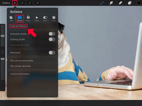 Image result for How to Resize Procreate