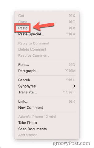 Toradh íomhá ar Paste Menu
