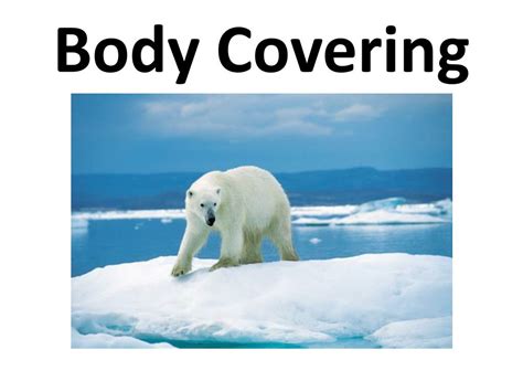 Image result for Behavioral Adaptation Examples