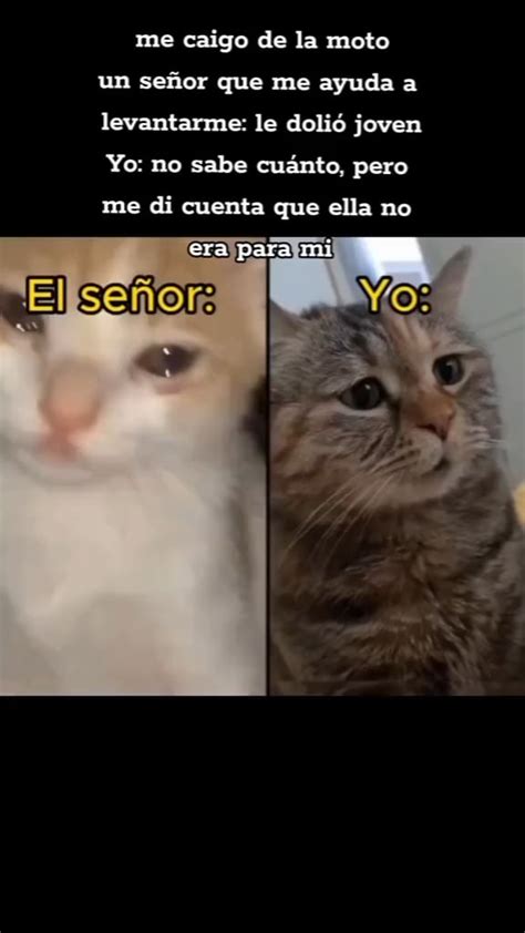 Toradh íomhá ar Johnny Quick vFlash