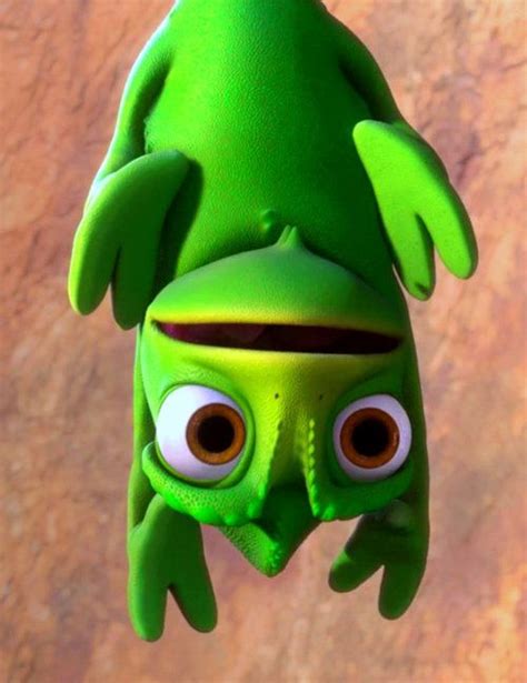 Image result for Pascal Hanging