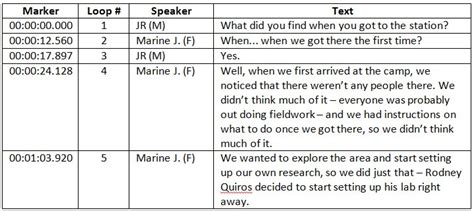 Image result for Subtitle List with Timecode