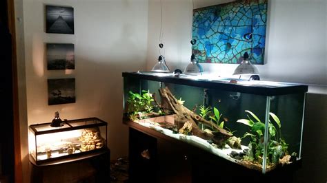 Toradh íomhá ar Large Turtle Tank Setup