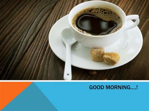 Phase Contrast Microscope Light Path に対する画像結果