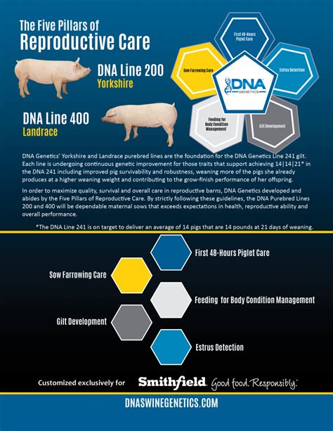 Afbeeldingsresultaten voor DNA Lines Code