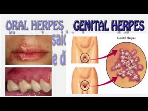 Afbeeldingsresultaten voor STD 7 Social Science Sem 1 Chepter 10