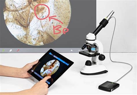 Microscopic Camera App に対する画像結果