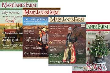 Image result for Back Issues Magazines Bundle