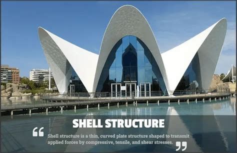 Image result for Shell Structures Grade 5