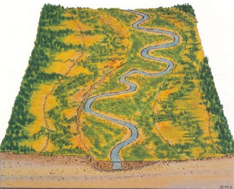 Image result for Stream Type