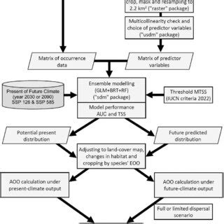 Statistical Model Selection Flowchart に対する画像結果
