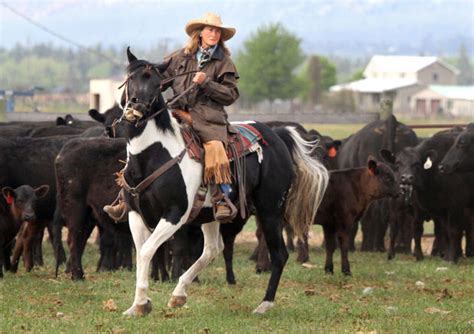 Image result for Horseback Sorting Cattle