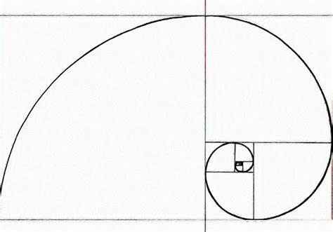 Image result for Fibbinachi Pattern