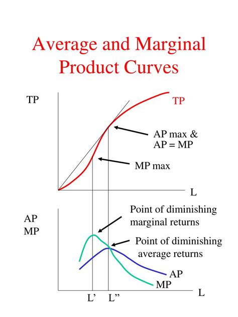 Image result for Production Function in Short Run