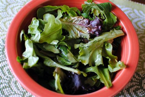 Exercise Playlist に対する画像結果