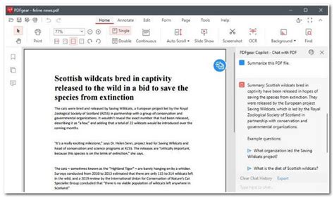 Image result for PDF View