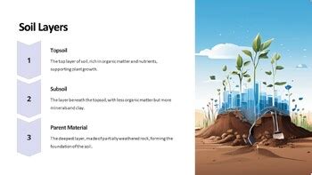 Toradh íomhá ar 3rd Grade Science PowerPoint