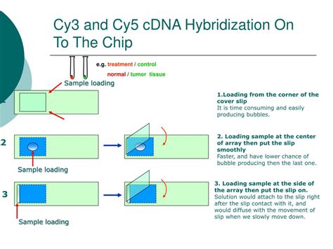 Image result for Microarray Flow Chart
