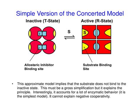 Image result for Simple Sequential Model of Allosteric Enzyme