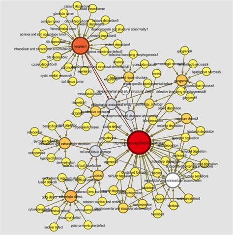 Directed Graph Visualization Python に対する画像結果