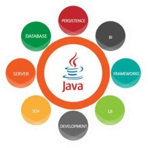 Image result for Java Development India