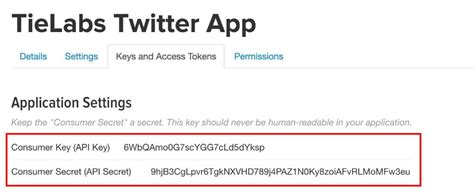 Image result for Twitter API Consumer Key