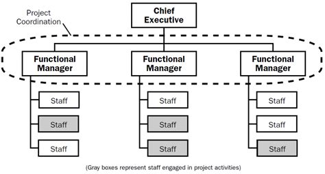 Afbeeldingsresultaten voor Functional Organisation Structure