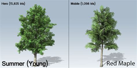 Image result for SpeedTree