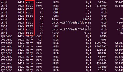Image result for Lsof