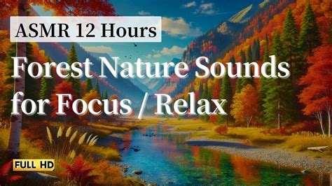 ASMR Mountains に対する画像結果